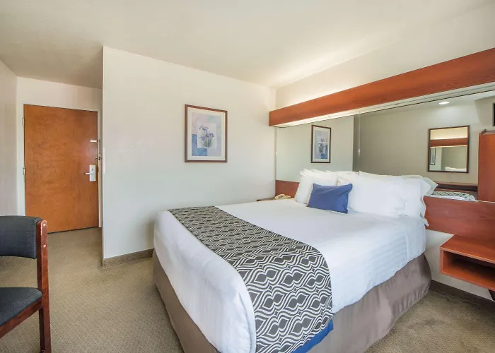 Top Hotels in Downtown Miami Beach